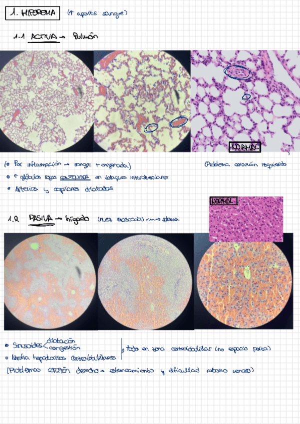Miniatura del documento Practica-4.pdf