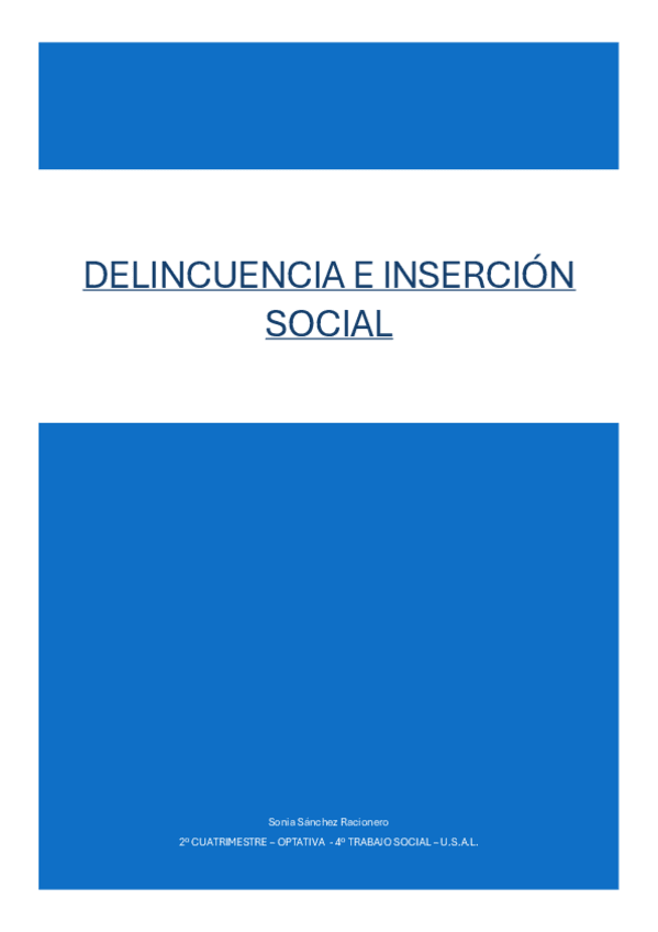 Miniatura del documento Apuntes-Completos-Delincuencia-e-Insercion-Social.pdf