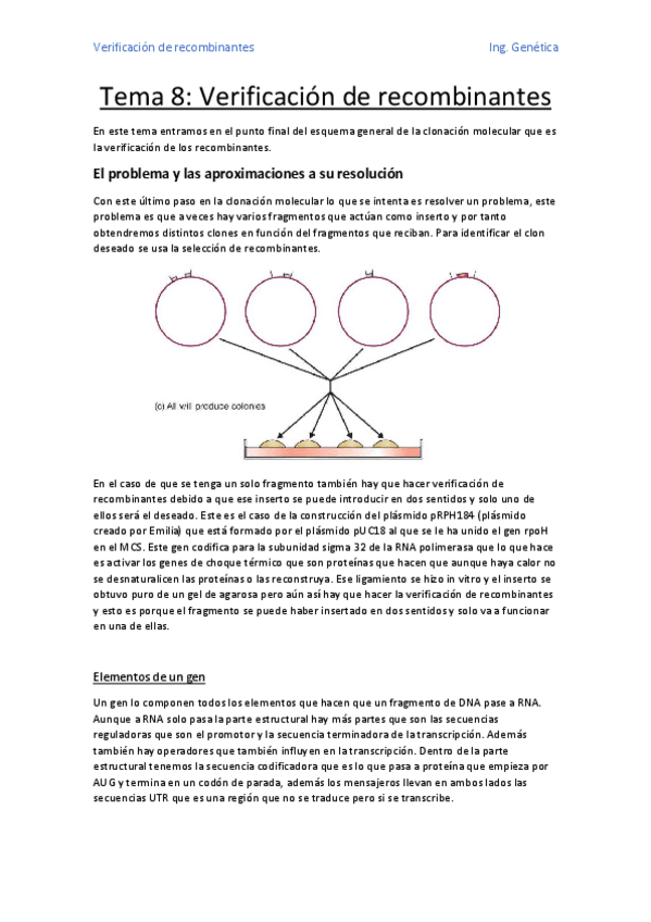 Miniatura del documento Tema 8- Verificación de recombinantes.pdf