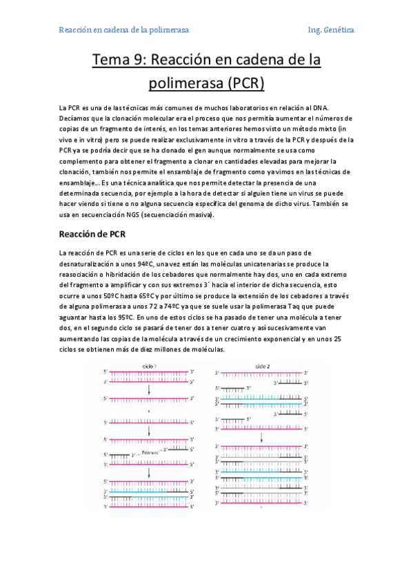 Miniatura del documento Tema 9- Reacción en cadena de la polimerasa (PCR).pdf