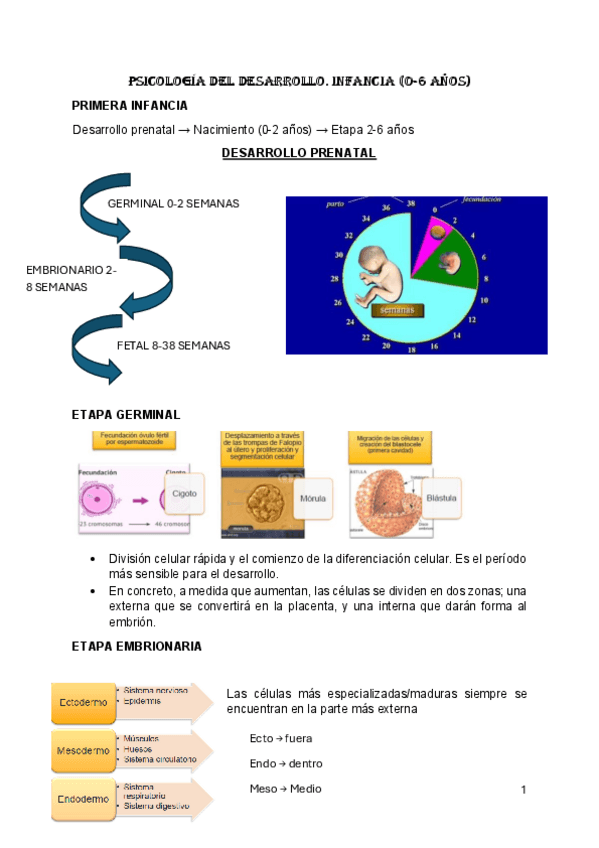 Miniatura del documento Psicologia-del-desarrollo-Tema-1.pdf