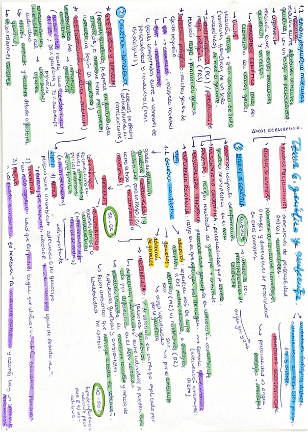 Miniatura del documento tema-6-personalidad-esquema.pdf