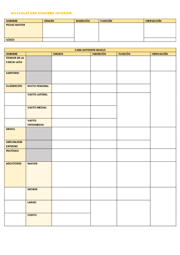 Miniatura del documento TABLA-MUSCULOS-MI-blanco.pdf