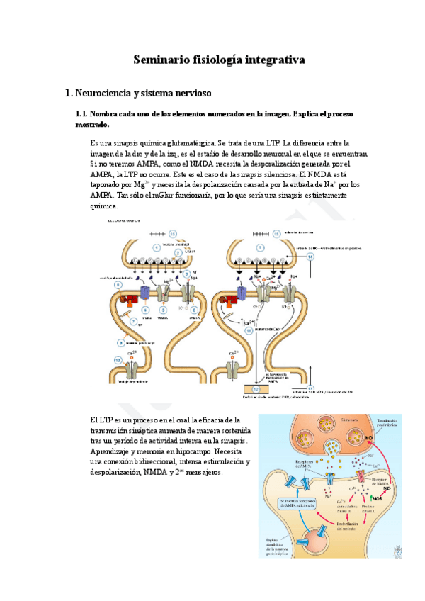 Miniatura del documento S6-fisiologia-integrativa.pdf