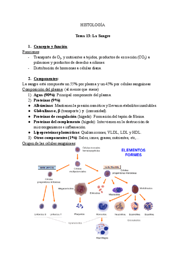 Miniatura del documento Tema-13La-Sangre.pdf