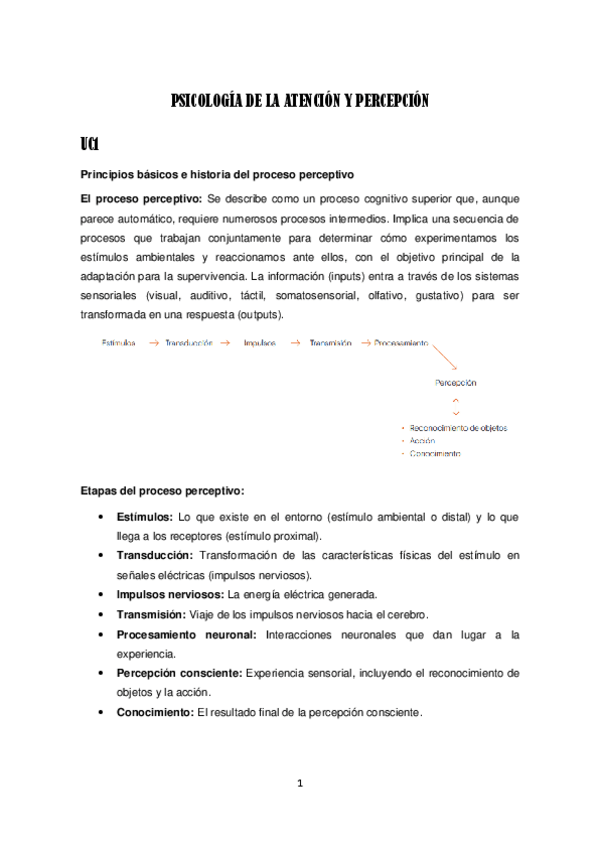 Miniatura del documento APUNTES-PSICOLOGIA-DE-LA-ATENCION-Y-PERCEPCION.pdf
