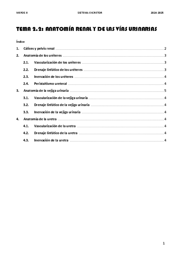 Miniatura del documento Tema-2.2.-Anatomia-renal-y-de-las-vias-urinarias-II.pdf