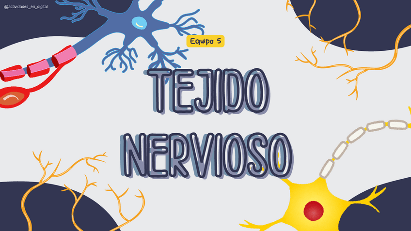Miniatura del documento Tejido-Nervioso.pdf