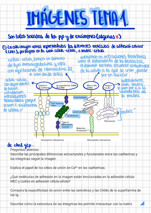 Miniatura del documento Posibles-imagenes-tema-1.pdf