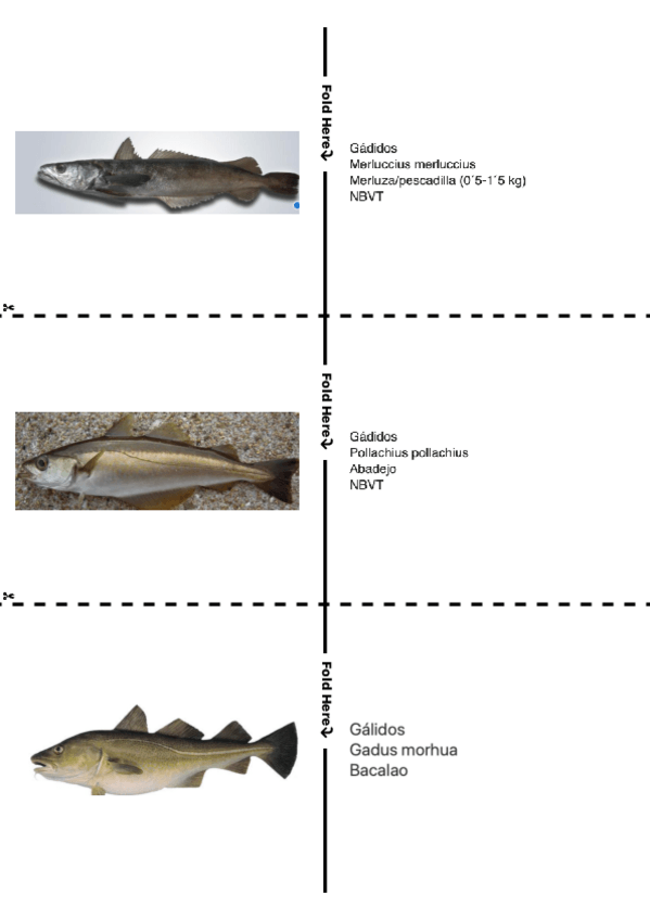 Miniatura del documento Tarjetas-peces.pdf