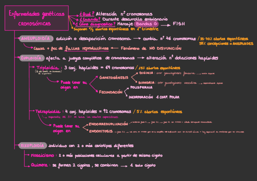 Miniatura del documento Cromosomopatias.pdf