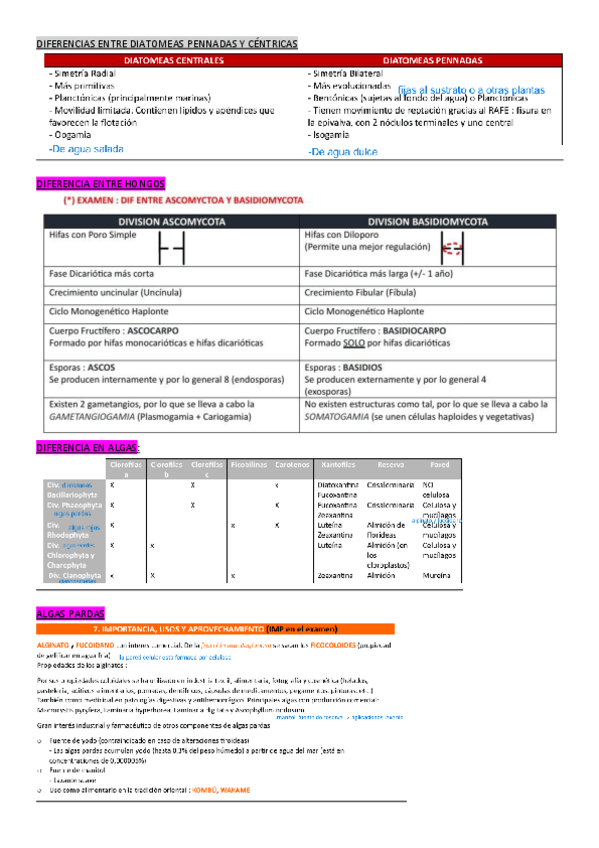 Miniatura del documento PREGUNTAS DE EXAMEN: APUNTES DE LO MÁS IMPORTANTE.pdf