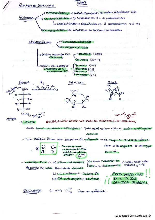 Miniatura del documento Tema-9-org-II.pdf