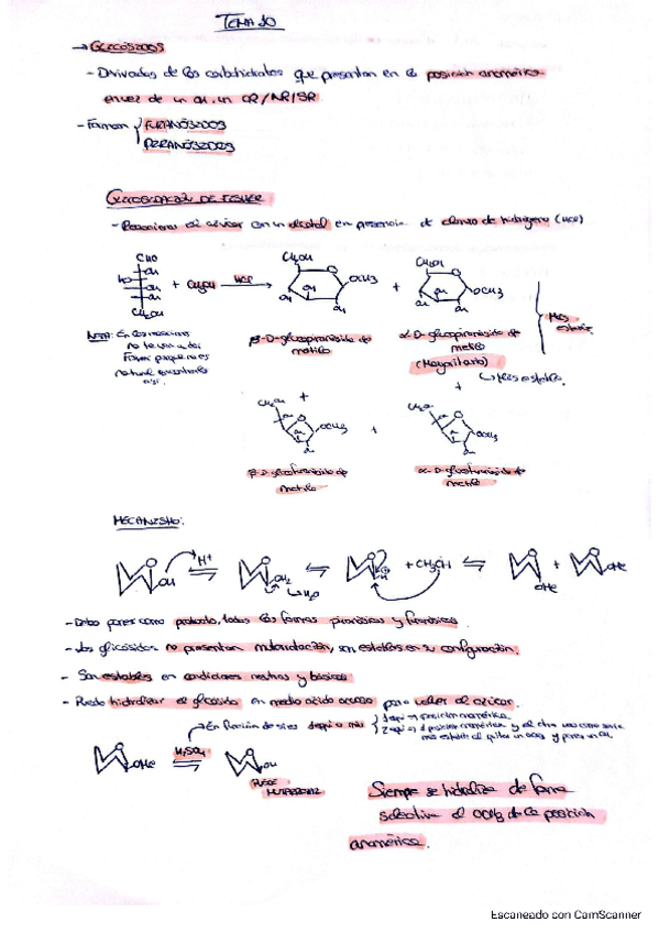 Miniatura del documento Tema-10-org-II.pdf