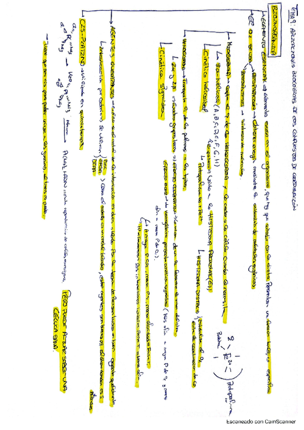 Miniatura del documento Resumen-T9-inorganica.pdf