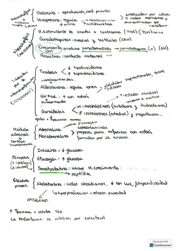 Miniatura del documento mapa-conceptual-tema-13-psicobiologia.pdf