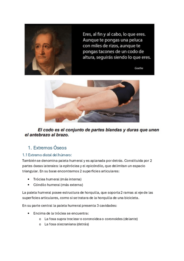 Miniatura del documento Temas-15-18.-El-codo.pdf