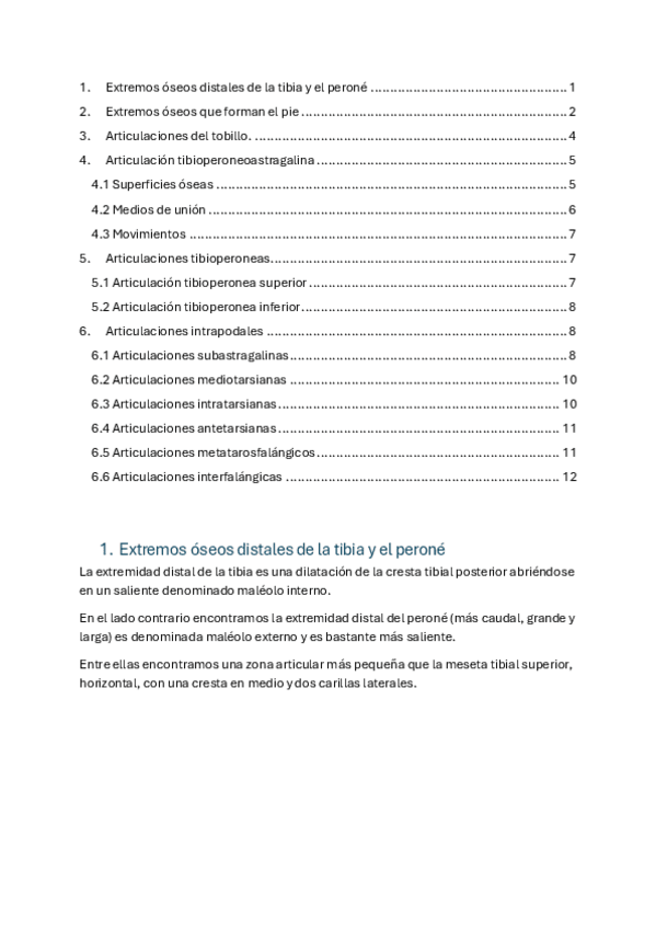 Miniatura del documento Temas-38-46.-El-tobillo-y-el-pie.pdf