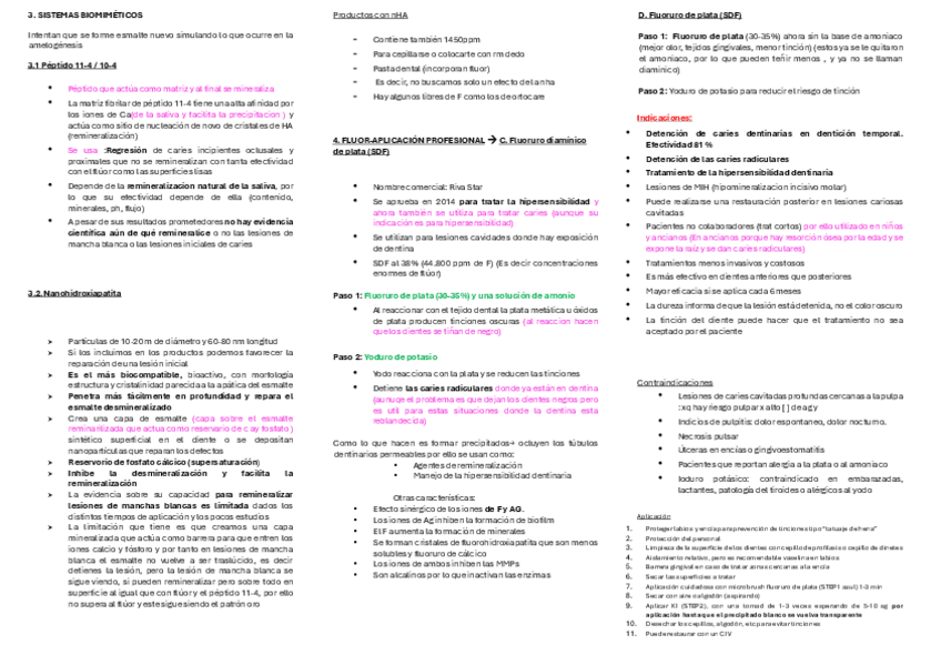 Miniatura del documento t25-p2-Fluor-y-Sistemas-biomimeticos.pdf