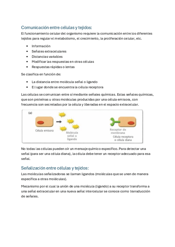 Miniatura del documento Tema-9.-Comunicacion-celular.pdf