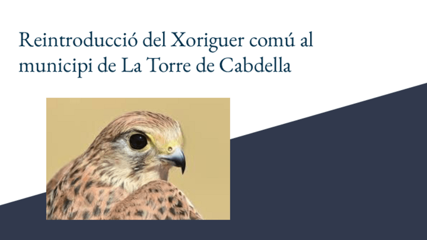 Miniatura del documento Projecte-SIG.pdf