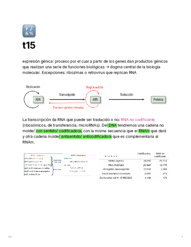 Miniatura del documento apuntes-t15.pdf