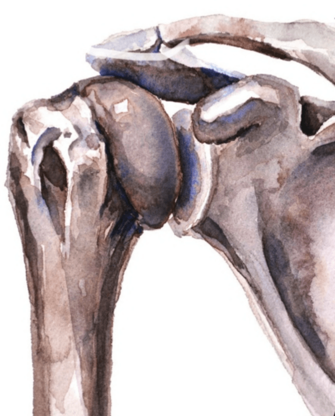 Miniatura del documento Laminas-DIGES.pdf