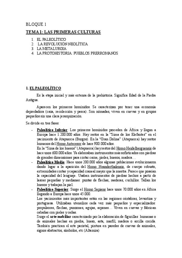 Miniatura del documento Tema-1-las-primeras-culturas.pdf
