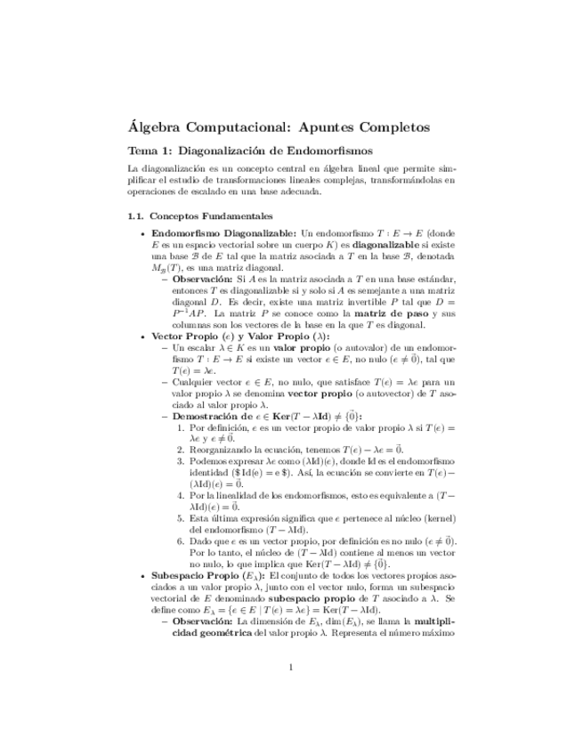 Miniatura del documento algebracompu2.pdf