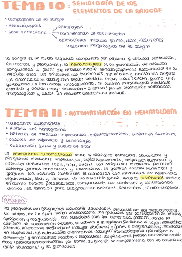 Miniatura del documento Resumen-y-esquema-bloque-3.pdf
