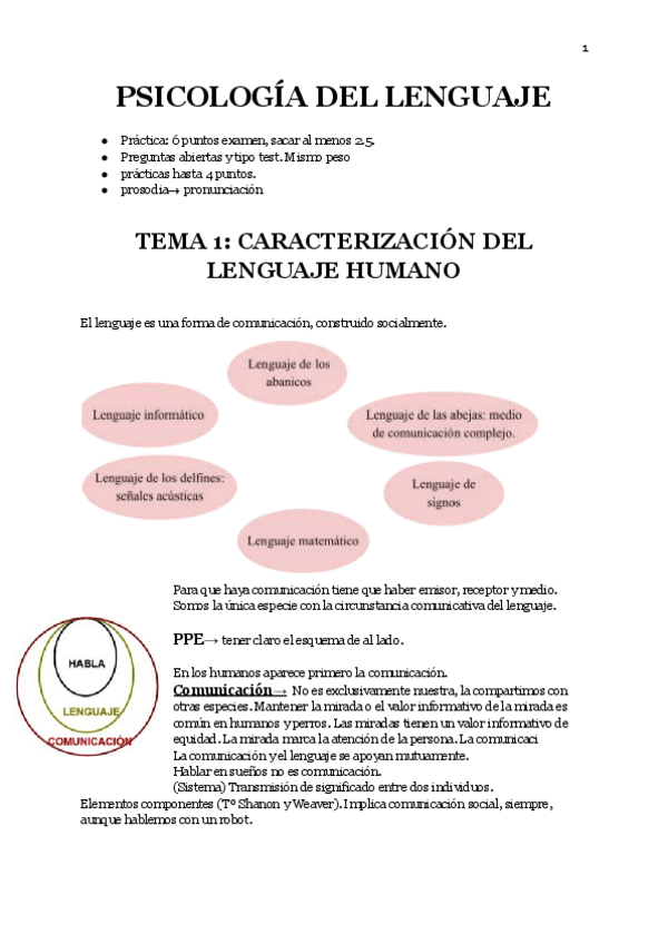 Miniatura del documento APUNTES-COMPLETOS.pdf