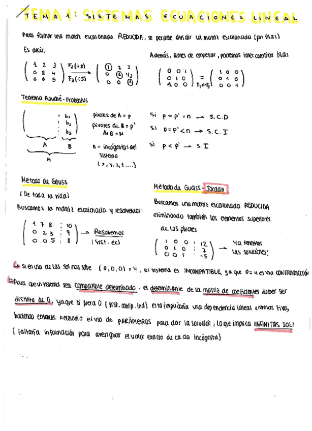 Miniatura del documento APUNTES-COMPLETOS-ALGEBRA.pdf