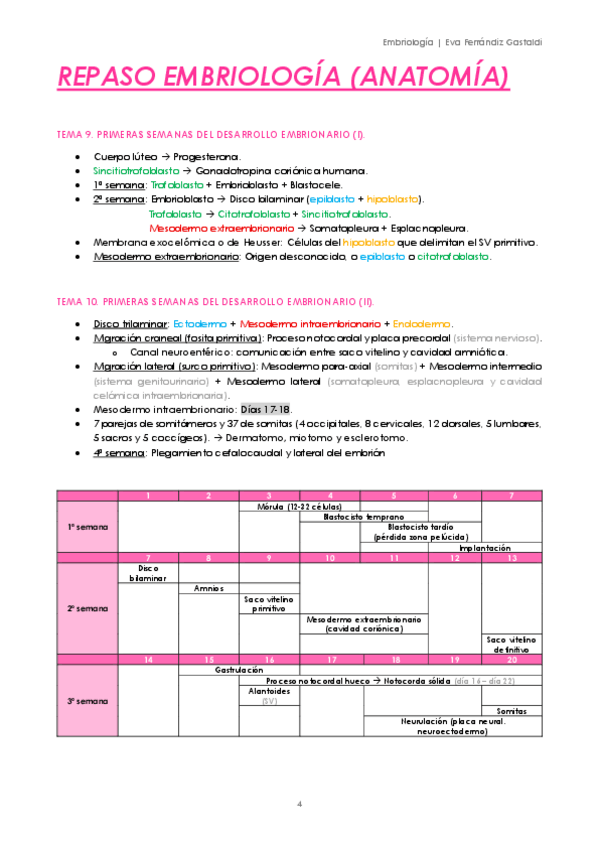 Miniatura del documento REPASO-EMBRIO-ANATOMIA.pdf