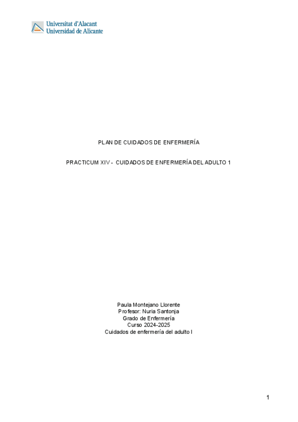 Miniatura del documento PAE-PRACTICUM-XIV.pdf
