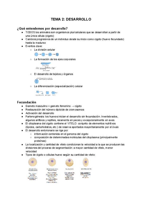 Miniatura del documento Fundamentos-de-zoologia-Tema-2.pdf