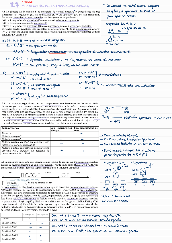 Miniatura del documento PROBLEMAS-ADICIONALES-BLOQUE-2-CORREGIDO.pdf