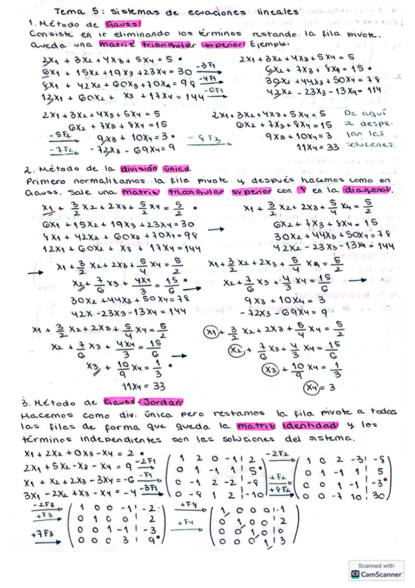 Miniatura del documento Tema5-SistemasEcsLinales.pdf