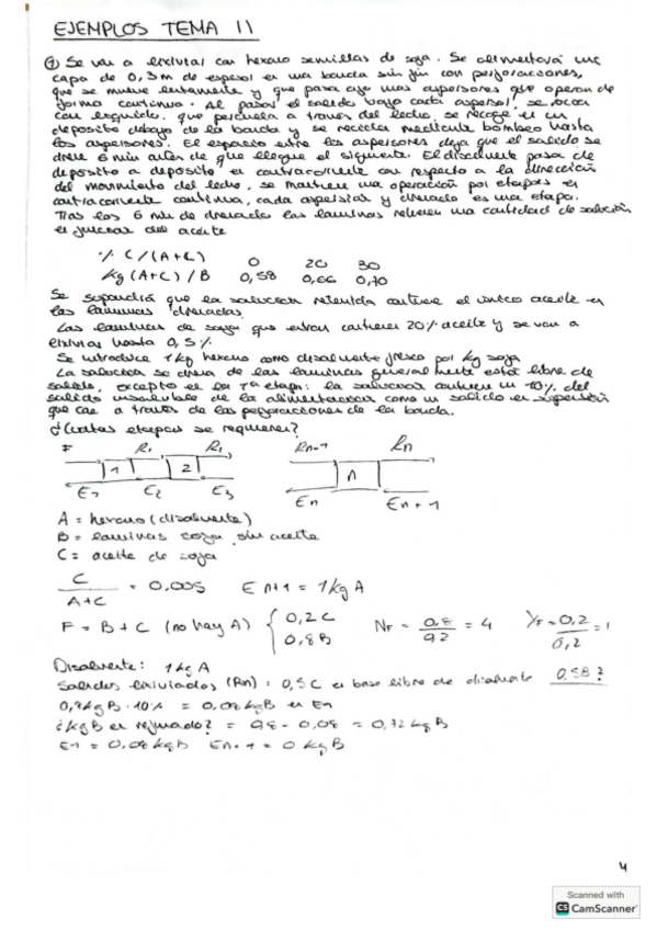 Miniatura del documento Ejemplos-lixiviacion-T11.pdf