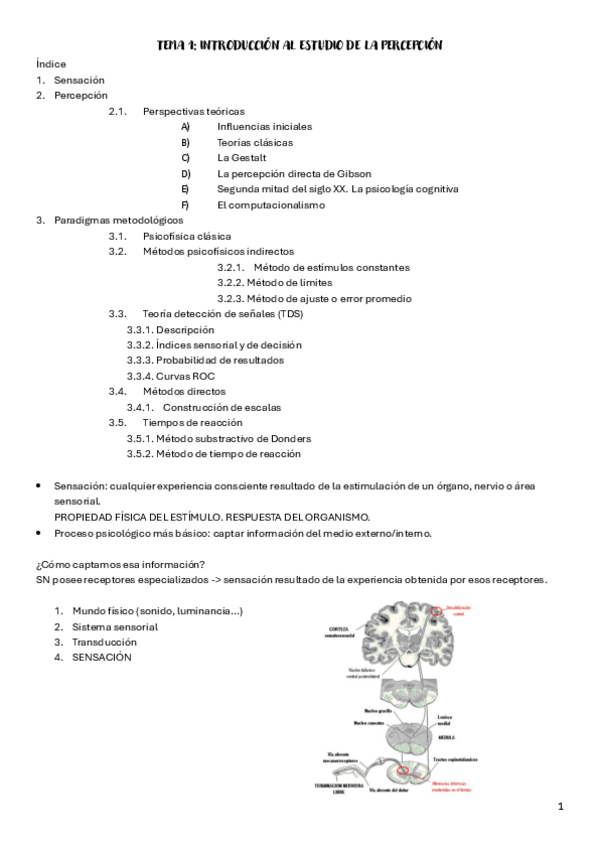 Miniatura del documento Apuntes-todos-los-temas.pdf