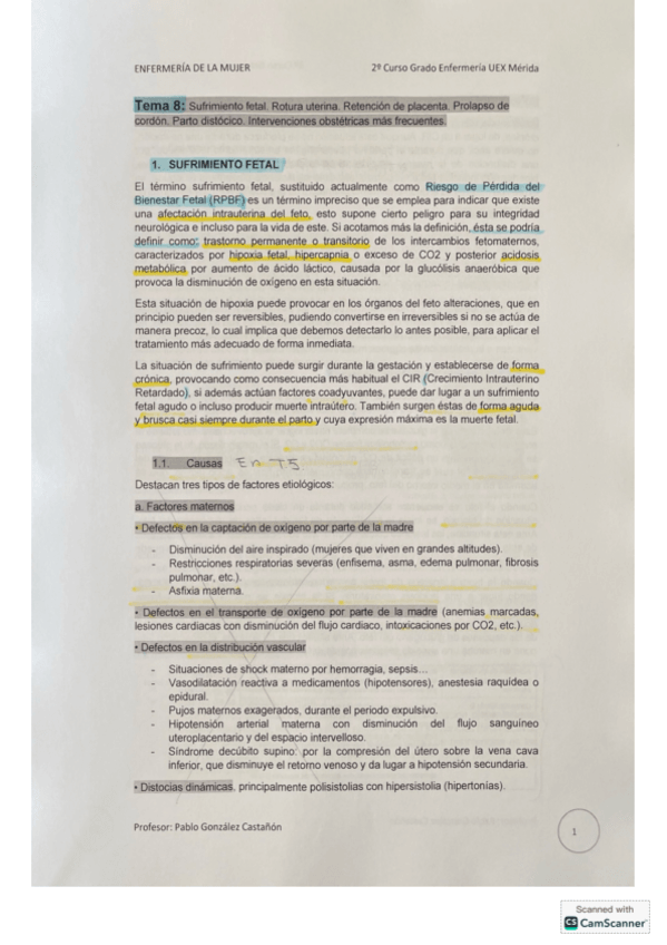 Miniatura del documento Tema-8-Mujer-subrayado.pdf