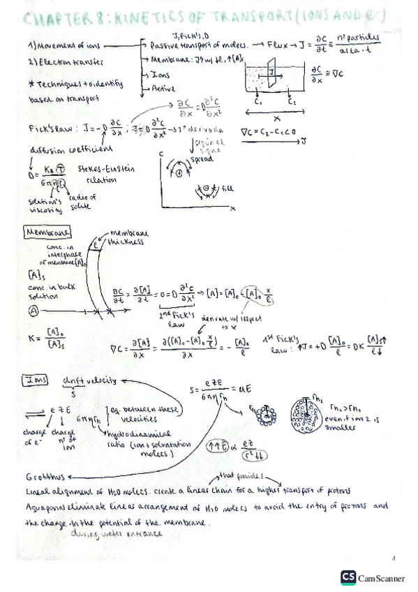 Miniatura del documento 8.-Kinetics-of-ion-and-electron-transport.pdf