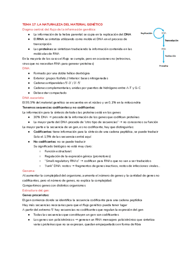 Miniatura del documento Tema-17-La-naturaleza-del-material-genetico.pdf