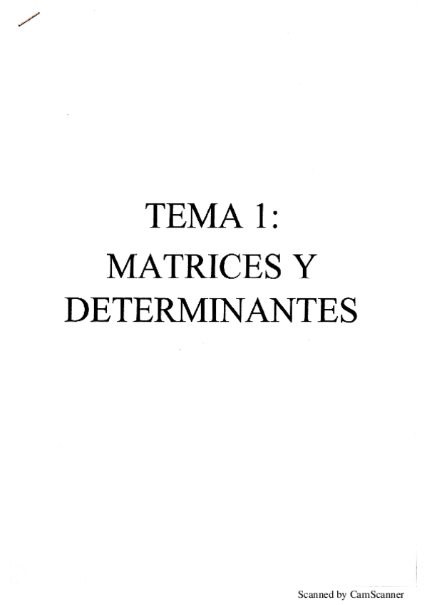Miniatura del documento TEMA 1- MATRICES Y DETERMINANTES.pdf
