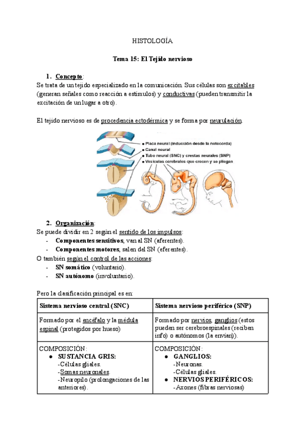 Miniatura del documento Tema-15-El-Tejido-nervioso.pdf