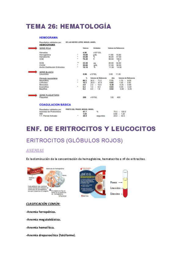 Miniatura del documento TEMA-hematologia.pdf