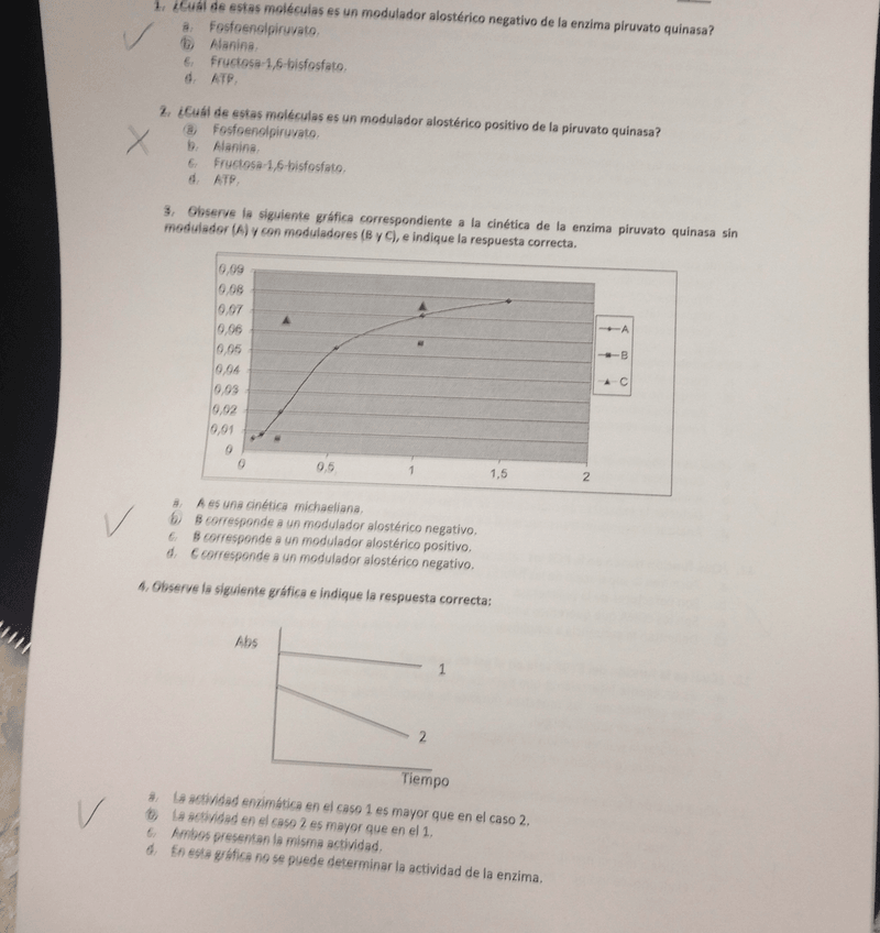 Miniatura del documento image.jpeg