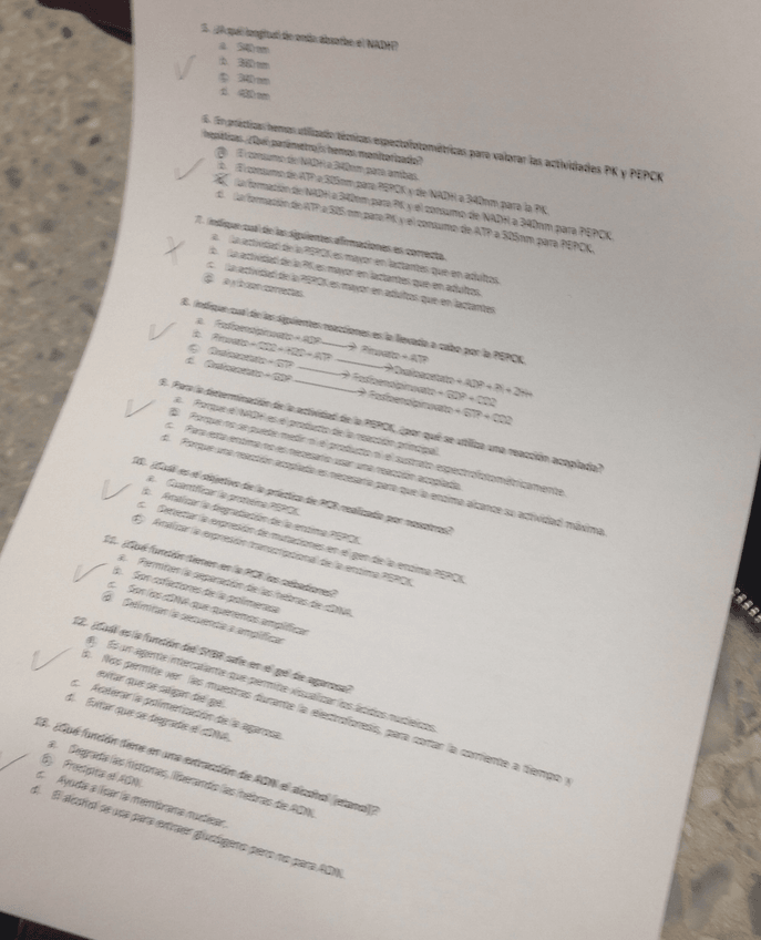 Miniatura del documento image.jpeg