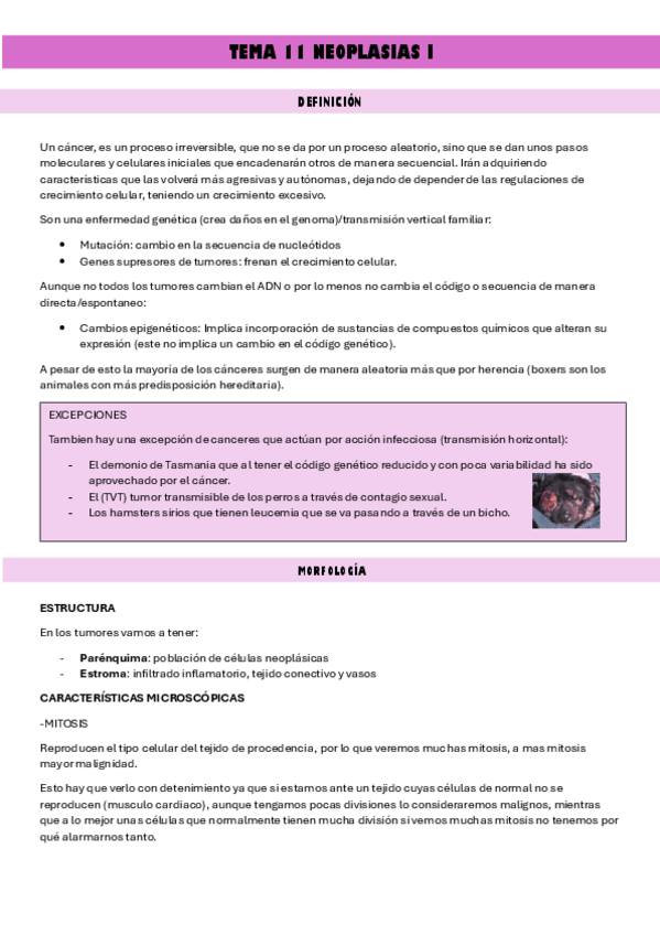 Miniatura del documento TEMA-11-APG..pdf