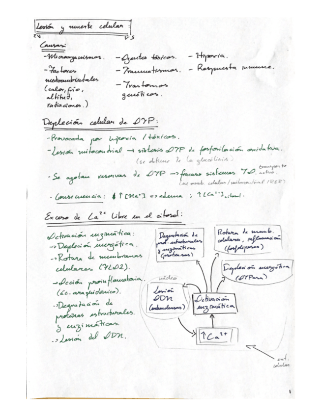 Miniatura del documento Resumen-LASO.pdf