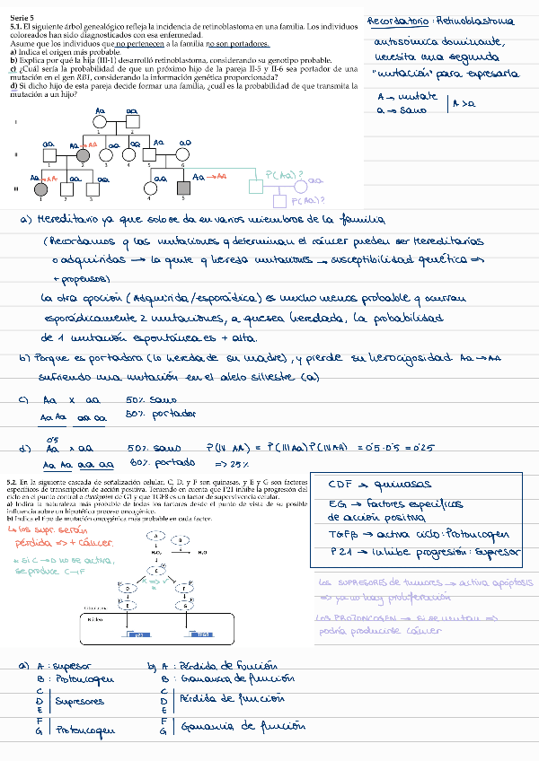 Miniatura del documento Serie-5.pdf